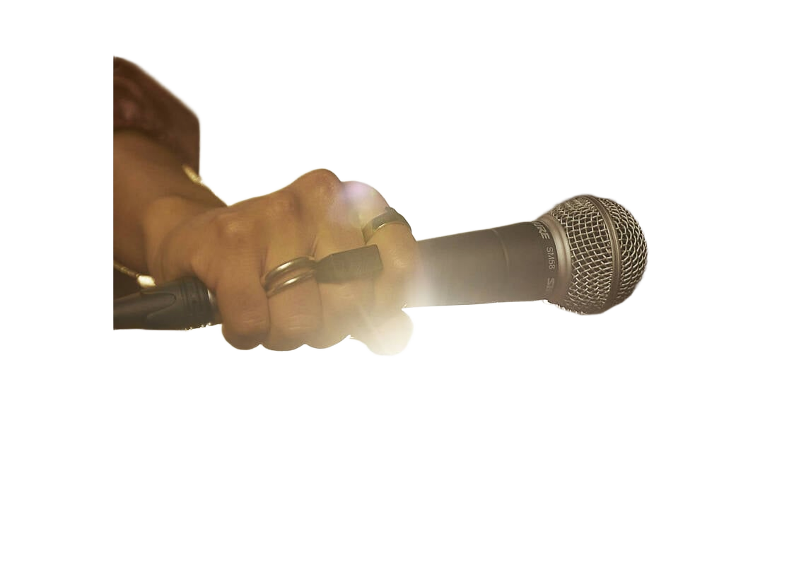 Micro Shure SM58